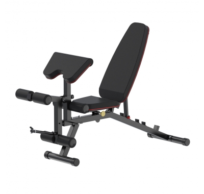 WT-B10 Adjustable Dumbbell Bench